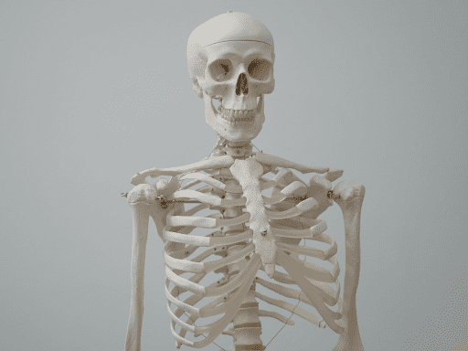 How to Keep Your Bones Strong and Healthy